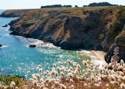 Vue de la falaise sur la plage