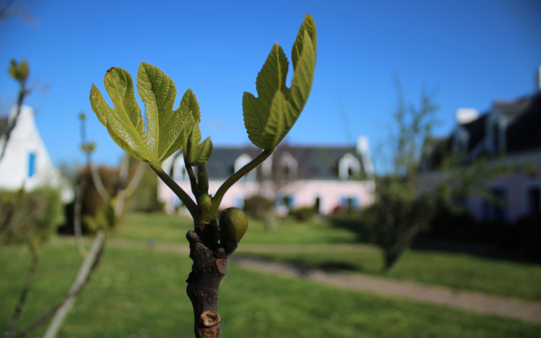 Le fruit des différents chantiers de l’hiver