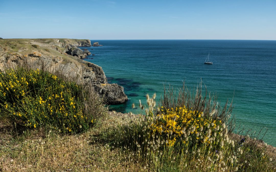 Une dernière « goutte … de bonheur » à La Désirade