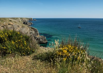 Vue de la falaise